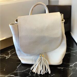 Gray Purse Tassles Cheetah Straps and Magnetic Closure